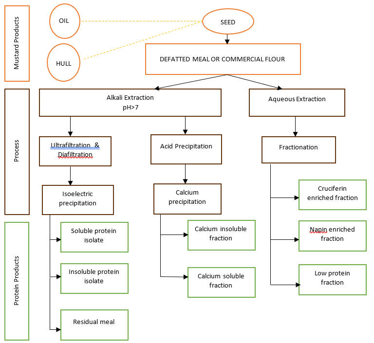 Figure 2. Protein recovery technologies being explored for mustard protein3,7,12